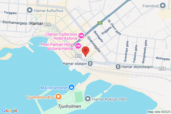 Modhi Norge AS