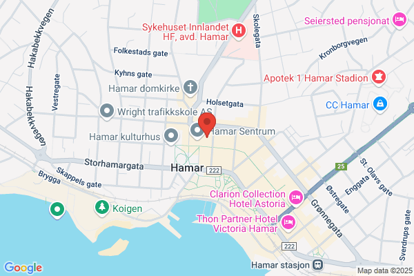 Hamar Nettsenter As