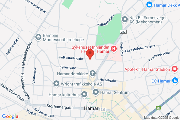 Biskopen I Hamar