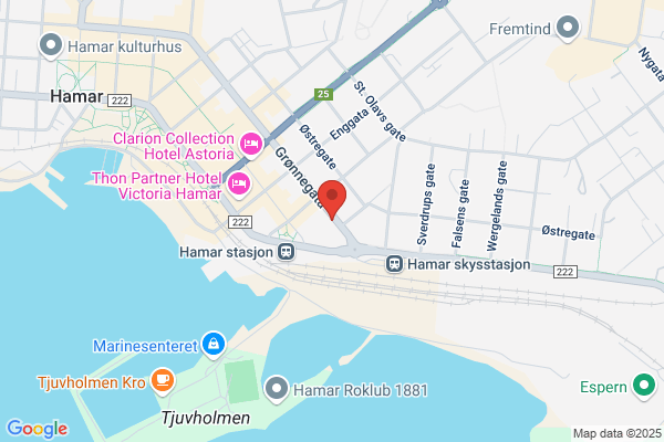 Hofshagen Are