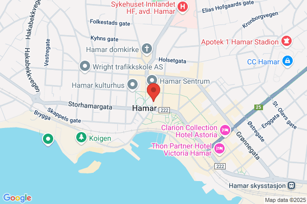 Hoels Elektroservice A.s