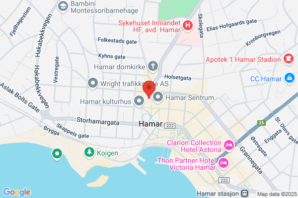 Aetat Hedmark