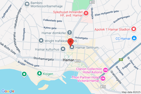 Hamar Optiske A/s