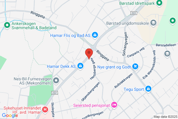 Bilpleiesenteret Hamar