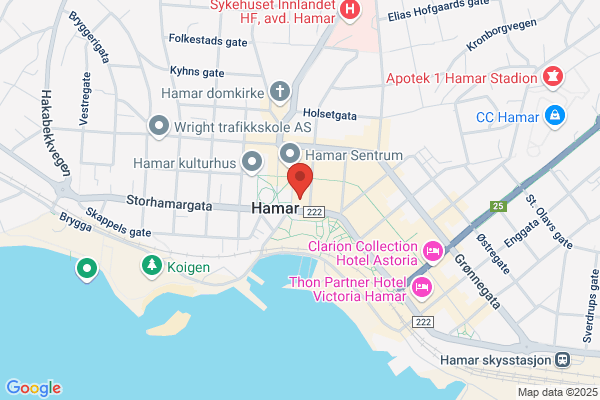Galleri Grønnegaten 101 As