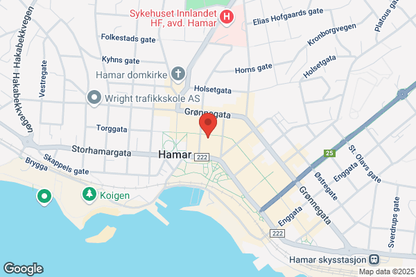 Grønnegata Bingo
