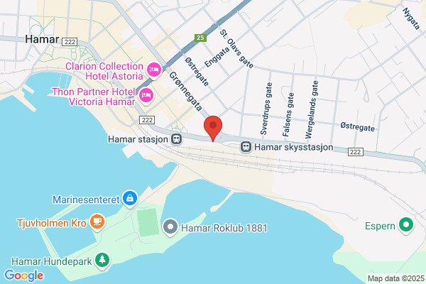 Hamar Taxisentral As