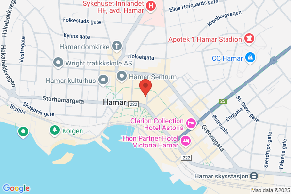 Human-etisk Forbund Hedmark Fylkeslag