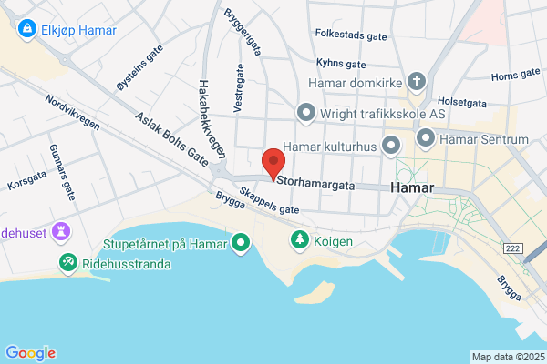 Noricom Språktjenester