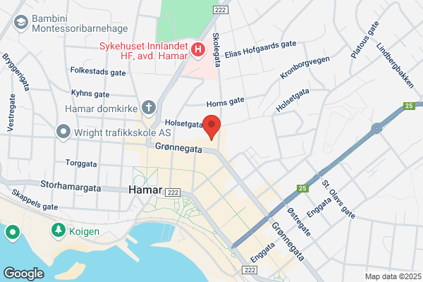 Næringsrådgivning As