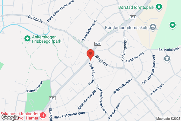 Ringgata Veterinærkontor