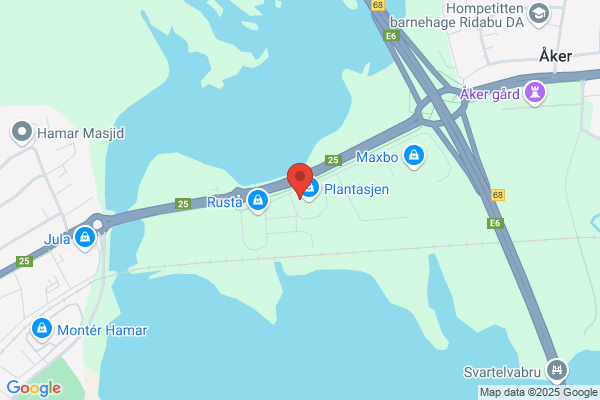 Elsikkerhet Norge AS