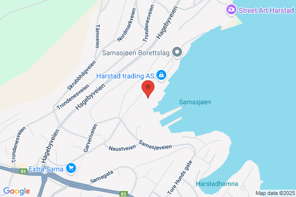 Mevik Tore Adv.