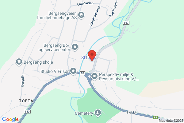 Bergseng Bilistsenter Shell Marketing A/s