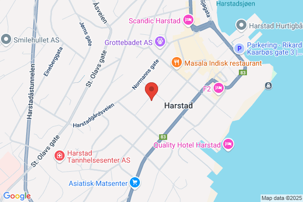 Harstad Handelstand Forening