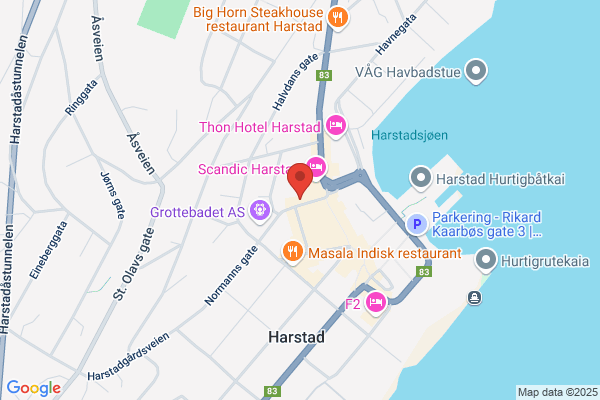Viking Nordic Hotel