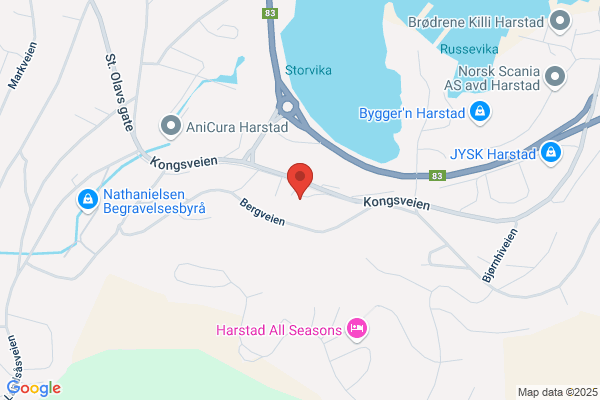 Hanssen Oddmund Firma