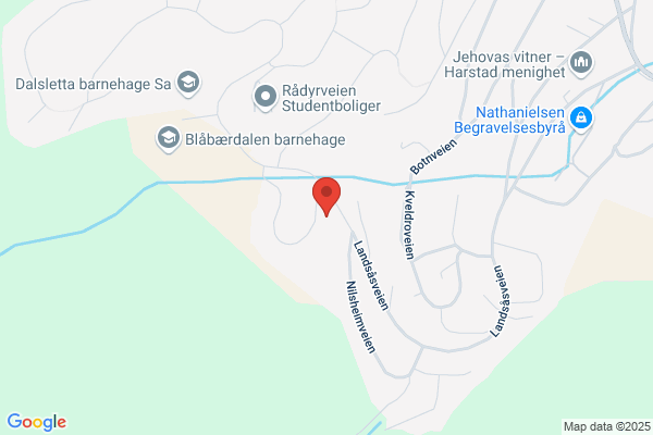 Hanssen Oddmund Firma