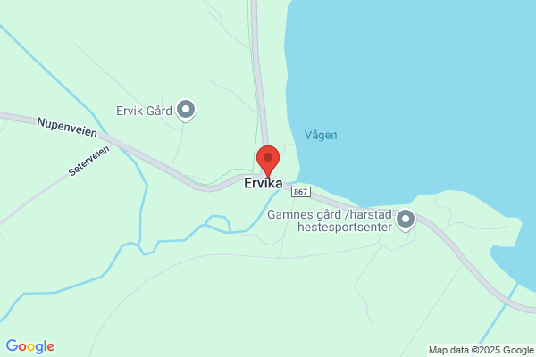 Høyvik As