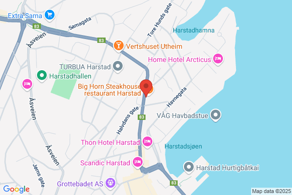Nordlændingen/ Nessekongen