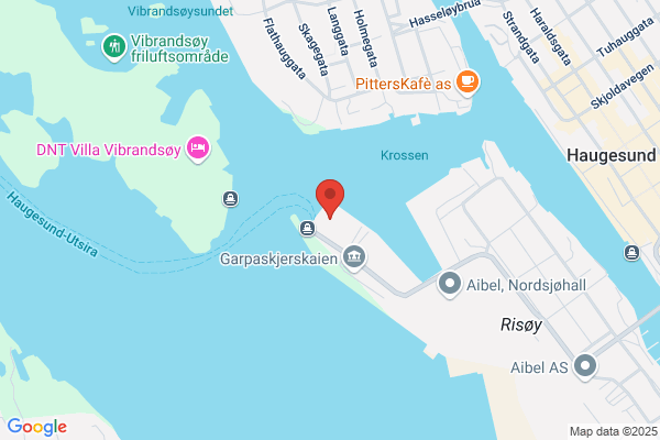 Tess Haugesund As