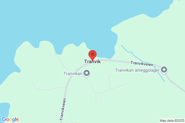 Transvik As