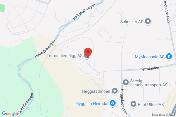 Ny Energi Inger Lisbet Skjervold