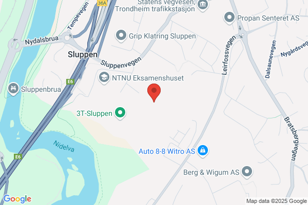 Foreningen For Omplassering Av Dyr I Trondheim