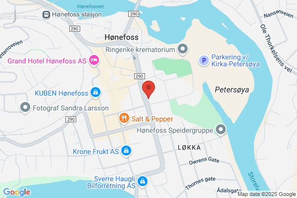 Hønefoss Vaktselskap