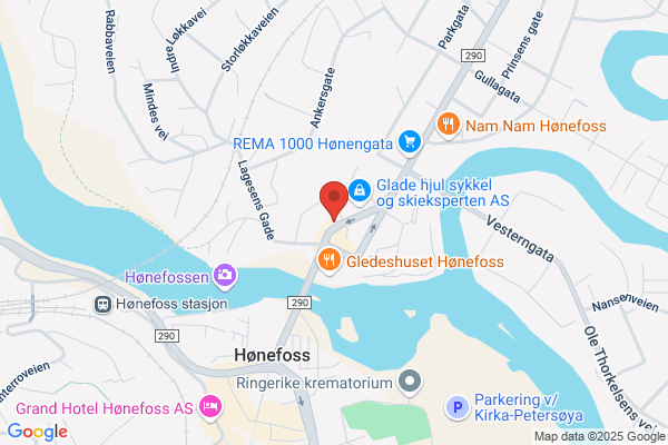 Fellesforbundet Ringerike Fagforening