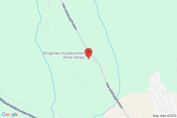 Ringerike Hundesenter Anne Herøy