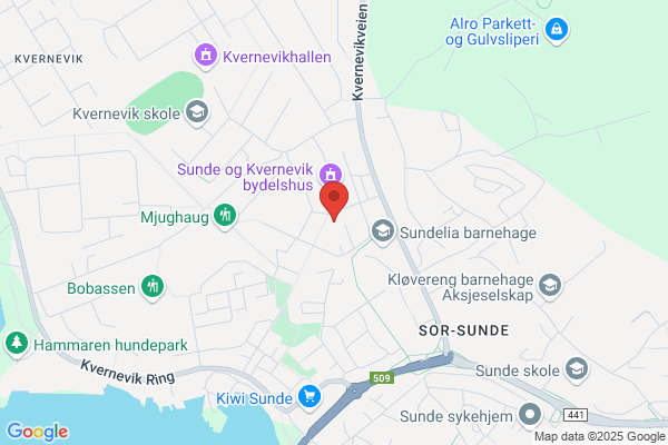 Søviknes Malerfirma