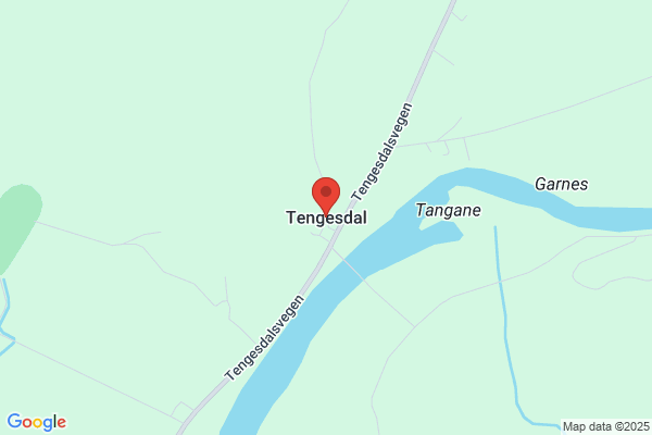 Tengesdal Jens As