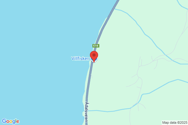 Villfisken AS