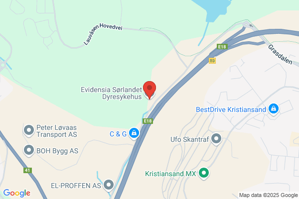 Evidensia Sørlandet Dyresykehus