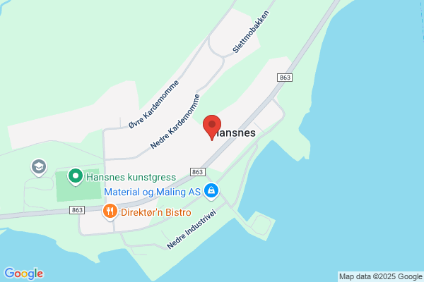 Serviceregnskap Da