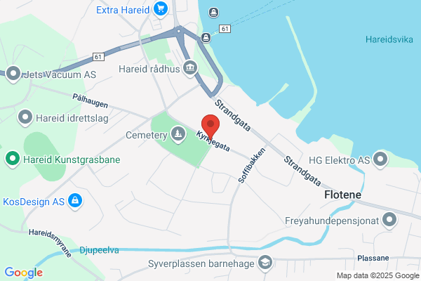 Kyrkja Den Norske