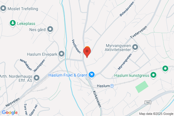 Haslum Fysikalske Institutt DA