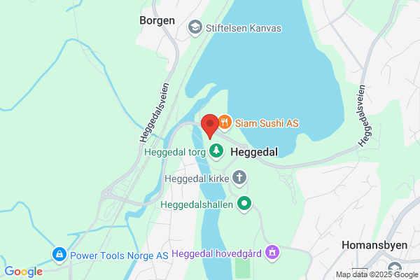 Modum Systemstiger Ann Britt Ramslie