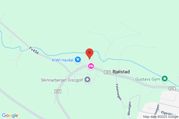 Heidal Regnskapslag A/l