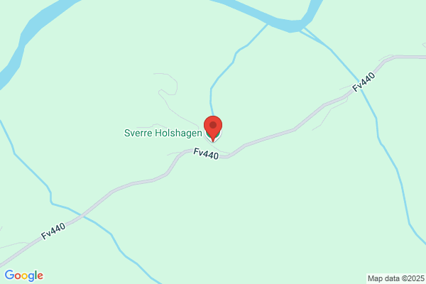 Holshagen Treskjæring