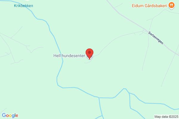 Stjørdal Hundepensjonat