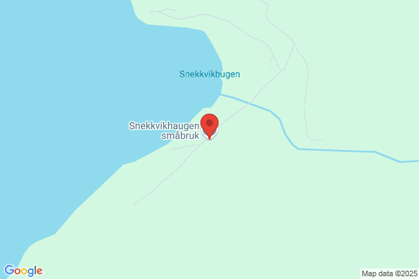 Snekvik Smolt As