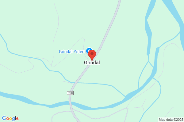 Grøndal Jarle