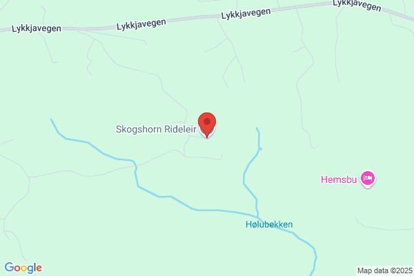 Skogshorn Hytteutleie & Hestesenter