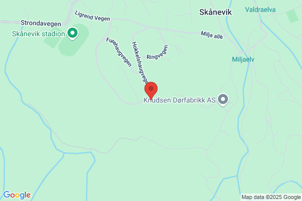 Kristoffersen Arne