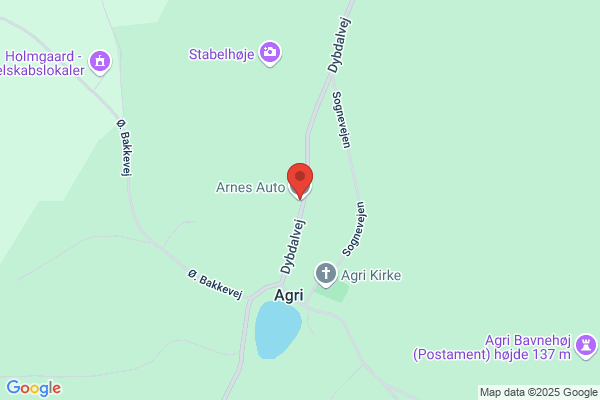 Arne's Auto As