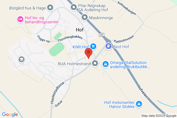 Kommunelegen I Hof