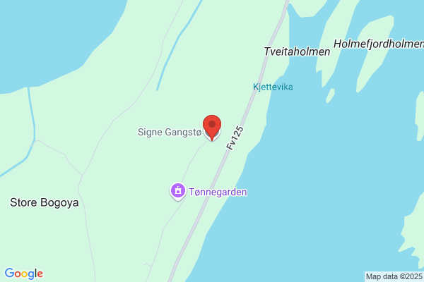 Gangstø Signe