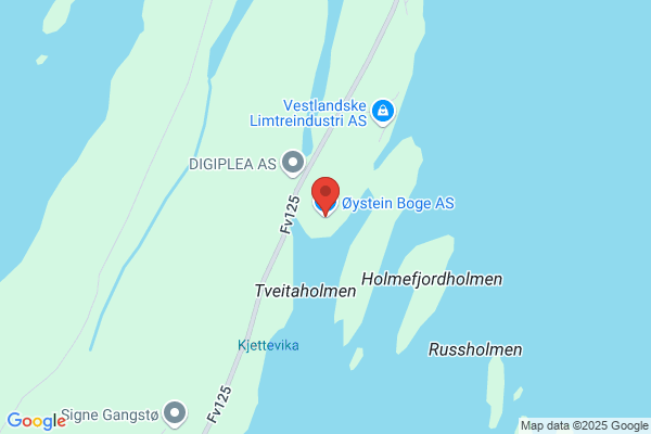 Øystein Boge As